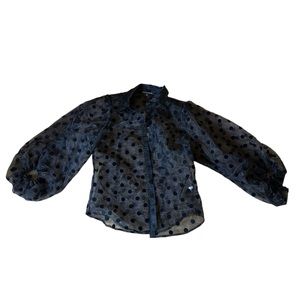 Boston proper size medium sheer, long poofy sleeve top